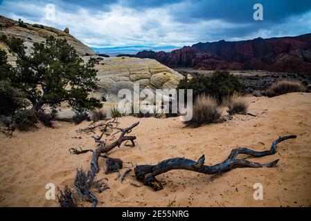 Zerklüftete und geheimnisvolle Felsformationen im Snow Canyon State Park, Utah, USA. Sanddünen, versteinerte Sanddünen und lebendiges Sedimentgestein sind häufig. Stockfoto