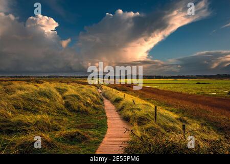 Blick entlang eines Uferweges an der Norfolk-Küste. Stockfoto