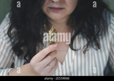 Nahaufnahme der weiblichen Hand mit medizinischer Marihuana-Knospe. Konzepte der alternativen Medizin und Kräuter Stockfoto