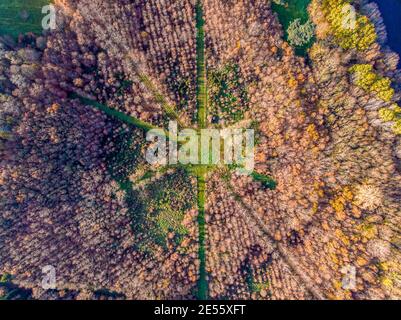 Drohne Foto von der Kreuzung zwischen Bäumen im bunten Wald in der Landschaft. Fußgänger Fahrradwege oder Wanderwege durch die Landschaft, aeria Stockfoto