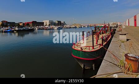 Dock mit Freizeitbooten mit Apartment-, Büro- und Lagergebäuden an den Kais im Hafen von Antwerpen, Flandern, Belgien Stockfoto