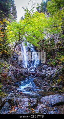 Blick auf einen Wasserfall, Teil des Dickson Falls Trail in der Nähe von Alma im Fundy National Park, New Brunswick, Kanada Stockfoto