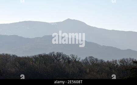 Die Grate um Cadair Idris spiegeln sich in einer Baumreihe in der Nähe von Dolgellay, Gwynedd, Wales, Großbritannien Stockfoto