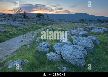 Sonnenuntergang über dem Southerscales National Nature Reserve mit Whernside in der Ferne. Stockfoto