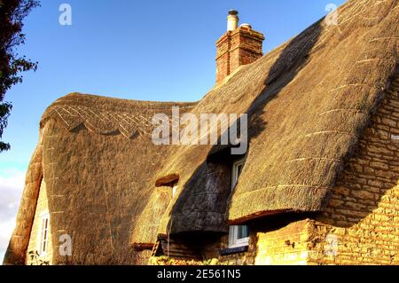 Reetdach in England Stockfoto