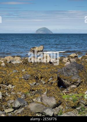 Die Insel Ailsa Craig vor der Westküste Schottlands. Stockfoto