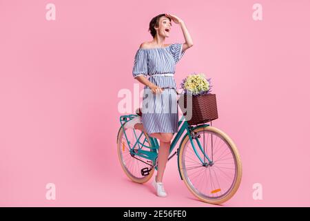 Foto-Porträt von schreienden Mädchen suchen in der Ferne stehen auf Ein Bein hält Fahrrad mit vorderen Korb Bouquet isoliert auf Pastellrosa gefärbt Stockfoto