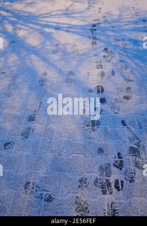 Fußabdrücke im Schnee und Schatten von Bäumen im Winterabend Stockfoto