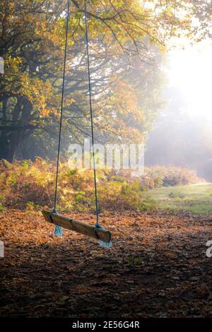 Eine Kinderseilschaukel im Herbstwald an einem nebligen Morgen. Stockfoto