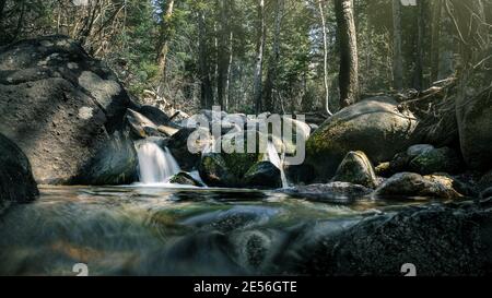 Waldbach im Frühjahr mit Lichtstrahlen zu leuchten. Stockfoto