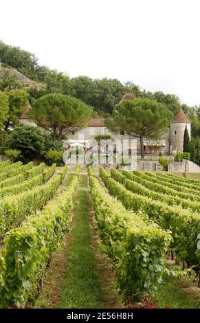 Atmosphäre als Prinz Henrik von Dänemark und Königin Margrethe II. Von Dänemark am 8. August 2008 während eines Fotoanrufs in ihrer Sommerresidenz 'Chateau de Caix' bei Cahors, Frankreich, posieren. Das 25 Hektar große Familiengut produziert rund 160,000 Flaschen Cahors Rot- und Weißwein, die auch nach Dänemark, Kanada und Japan exportiert werden. Prinz Henrik von Dänemark ruht nach der Operation seines Arms. Foto von Patrick Bernard/ABACAPRESS.COM Stockfoto