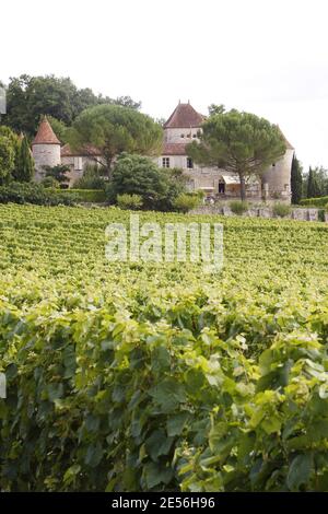 Atmosphäre als Prinz Henrik von Dänemark und Königin Margrethe II. Von Dänemark am 8. August 2008 während eines Fotoanrufs in ihrer Sommerresidenz 'Chateau de Caix' bei Cahors, Frankreich, posieren. Das 25 Hektar große Familiengut produziert rund 160,000 Flaschen Cahors Rot- und Weißwein, die auch nach Dänemark, Kanada und Japan exportiert werden. Prinz Henrik von Dänemark ruht nach der Operation seines Arms. Foto von Patrick Bernard/ABACAPRESS.COM Stockfoto