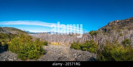 Magisch farbenprächtiges Tal mit toten Wäldern, Lagunen, Gletscherbächen und hohen Bergen im Torres del Paine Nationalpark, Patagonien, Chile, GO Stockfoto