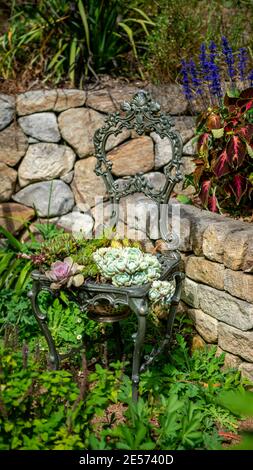 Eine dekorative Gartenkunst Sukkulente Sitzfläche. In einem australischen Garten Stockfoto
