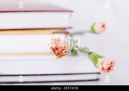 Tee Rose Farbe Nelke Blume auf einem hellen Stapel von Bücher Hintergrund Stockfoto