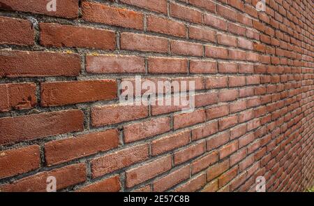Nahaufnahme der Ziegelmauer bei Sommersonne Stockfoto