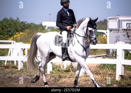 FEI World Jumping Challenge Israel 2019 Stockfoto