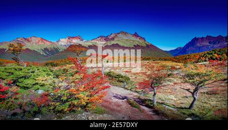 Panoramablick über ein magisch buntes Tal mit australwäldern, Torfmooren, toten Bäumen, Gletscherbächen und hohen Bergen in Tierra del Fuego Nationa Stockfoto