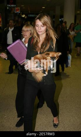 Mischa Barton und ihr Hund kommen am Flughafen Miami an. Sie sorgte so für Aufsehen, dass die Polizei ihre Firma in einem Flughafengeschäft halten musste, bis ihr Auto nach draußen gebracht werden konnte. Das Ladenpersonal war sehr verliebt in ihren Putsch, 1/10/07 [[Tag mab]] Stockfoto