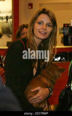 Mischa Barton und ihr Hund kommen am Flughafen Miami an. Sie sorgte so für Aufsehen, dass die Polizei ihre Firma in einem Flughafengeschäft halten musste, bis ihr Auto nach draußen gebracht werden konnte. Das Ladenpersonal war sehr verliebt in ihren Putsch, 1/10/07 [[Tag mab]] Stockfoto