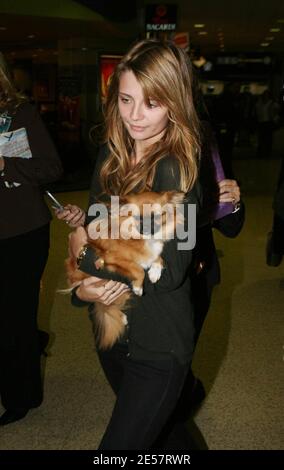 Mischa Barton und ihr Hund kommen am Flughafen Miami an. Sie sorgte so für Aufsehen, dass die Polizei ihre Firma in einem Flughafengeschäft halten musste, bis ihr Auto nach draußen gebracht werden konnte. Das Ladenpersonal war sehr verliebt in ihren Putsch, 1/10/07 [[Tag mab]] Stockfoto