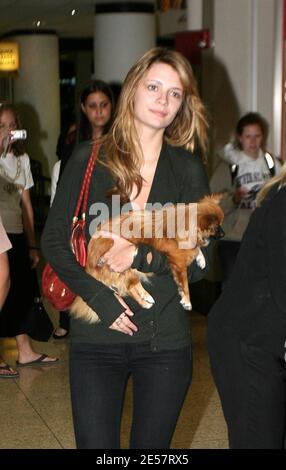 Mischa Barton und ihr Hund kommen am Flughafen Miami an. Sie sorgte so für Aufsehen, dass die Polizei ihre Firma in einem Flughafengeschäft halten musste, bis ihr Auto nach draußen gebracht werden konnte. Das Ladenpersonal war sehr verliebt in ihren Putsch, 1/10/07 [[Tag mab]] Stockfoto