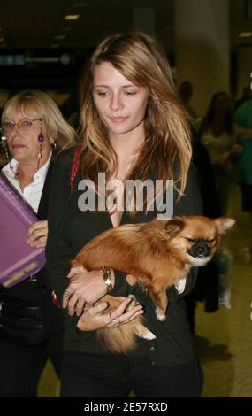 Mischa Barton und ihr Hund kommen am Flughafen Miami an. Sie sorgte so für Aufsehen, dass die Polizei ihre Firma in einem Flughafengeschäft halten musste, bis ihr Auto nach draußen gebracht werden konnte. Das Ladenpersonal war sehr verliebt in ihren Putsch, 1/10/07 [[Tag mab]] Stockfoto