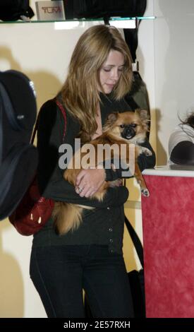 Mischa Barton und ihr Hund kommen am Flughafen Miami an. Sie sorgte so für Aufsehen, dass die Polizei ihre Firma in einem Flughafengeschäft halten musste, bis ihr Auto nach draußen gebracht werden konnte. Das Ladenpersonal war sehr verliebt in ihren Putsch, 1/10/07 [[Tag mab]] Stockfoto