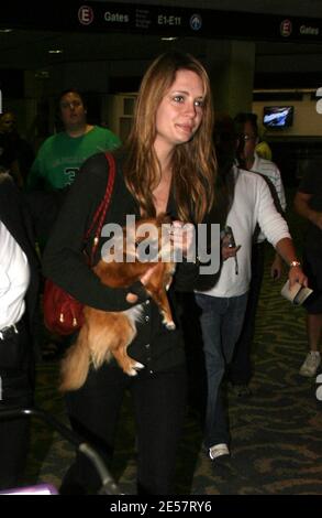 Mischa Barton und ihr Hund kommen am Flughafen Miami an. Sie sorgte so für Aufsehen, dass die Polizei ihre Firma in einem Flughafengeschäft halten musste, bis ihr Auto nach draußen gebracht werden konnte. Das Ladenpersonal war sehr verliebt in ihren Putsch, 1/10/07 [[Tag mab]] Stockfoto