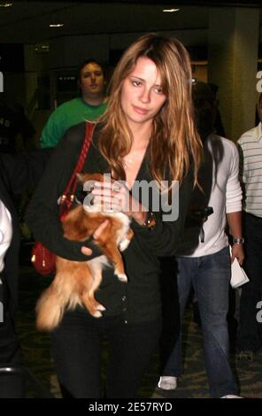 Mischa Barton und ihr Hund kommen am Flughafen Miami an. Sie sorgte so für Aufsehen, dass die Polizei ihre Firma in einem Flughafengeschäft halten musste, bis ihr Auto nach draußen gebracht werden konnte. Das Ladenpersonal war sehr verliebt in ihren Putsch, 1/10/07 [[Tag mab]] Stockfoto