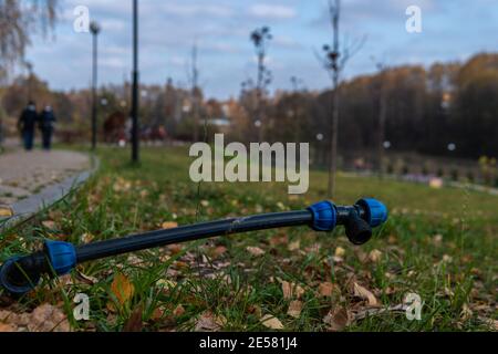 Der Schlauch ragt im Park auf dem grünen Gras heraus. Laternen und Himmel schöner Garten im Herbstwald Stockfoto