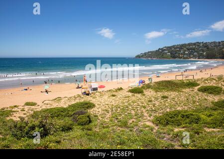 Palm Beach an einem Sommertag in Sydney mit Menschen Entspannen am Strand, NSW, Australien Stockfoto