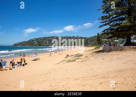 Palm Beach an einem Sommertag in Sydney mit Menschen Entspannen am Strand, NSW, Australien Stockfoto