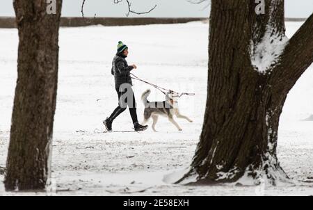 Chicago, USA. Januar 2021. Ein Mann geht einen Hund im Schnee in der Nähe von Lake Michigan in Chicago, Illinois, die Vereinigten Staaten, am 26. Januar 2021. Ab Montagabend kam es in Chicago zu einem Wintersturm. Bis 9 Uhr Ortszeit Dienstag, waren die Schneesummen in einigen Teilen der Chicago-Gegend nahe an 8 Zoll gekommen. Quelle: Joel Lerner/Xinhua/Alamy Live News Stockfoto