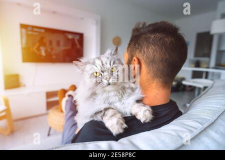 Junger Mann, der auf der Couch sitzt und Fernsehen schaut und sich mit seiner hübschen Katze auf der Schulter im Wohnzimmer ausruhen kann. Häusliches Leben mit Haustier zu Hause. Stockfoto