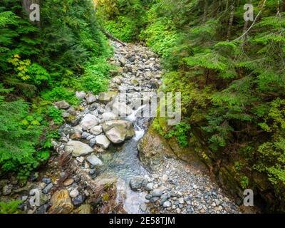 Der Denny Creek Trail ist sehr beliebt und aus gutem Grund! Eine natürliche Wasserrutsche, zwei recht große Wasserfälle, viele alte Wälder gemischt in w Stockfoto