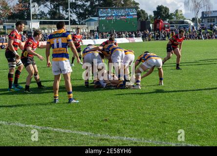 TAURANGA, NEUSEELAND - 1. September 2018; Rugby in Tauranga Domain, Bay of Plenty Steamers Team spielt Canterbury in der National Championship. Stockfoto