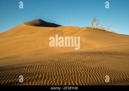 Sonnenaufgang im Bruneau Dunes State Park in Idaho Stockfoto