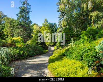 Kubota Garden ist ein 20-Acre (81,000 m²) japanischer Garten im Rainier Beach Viertel von Seattle, Washington. Hauptmerkmale des Kubota-Gartens i Stockfoto