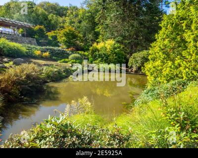 Kubota Garden ist ein 20-Acre (81,000 m²) japanischer Garten im Rainier Beach Viertel von Seattle, Washington. Hauptmerkmale des Kubota-Gartens i Stockfoto