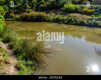 Kubota Garden ist ein 20-Acre (81,000 m²) japanischer Garten im Rainier Beach Viertel von Seattle, Washington. Hauptmerkmale des Kubota-Gartens i Stockfoto