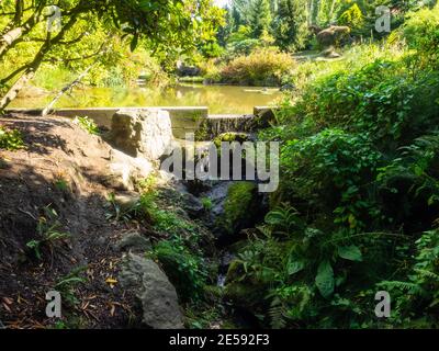 Kubota Garden ist ein 20-Acre (81,000 m²) japanischer Garten im Rainier Beach Viertel von Seattle, Washington. Hauptmerkmale des Kubota-Gartens i Stockfoto