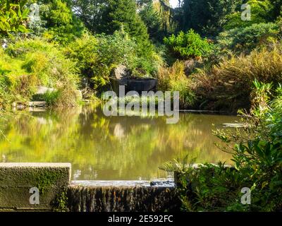 Kubota Garden ist ein 20-Acre (81,000 m²) japanischer Garten im Rainier Beach Viertel von Seattle, Washington. Hauptmerkmale des Kubota-Gartens i Stockfoto