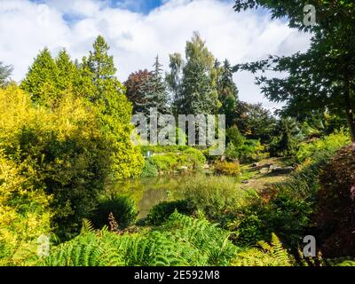 Kubota Garden ist ein 20-Acre (81,000 m²) japanischer Garten im Rainier Beach Viertel von Seattle, Washington. Hauptmerkmale des Kubota-Gartens i Stockfoto