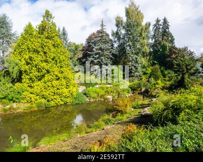 Kubota Garden ist ein 20-Acre (81,000 m²) japanischer Garten im Rainier Beach Viertel von Seattle, Washington. Hauptmerkmale des Kubota-Gartens i Stockfoto