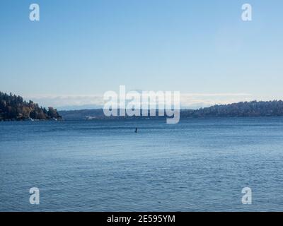 Seward Park ist ein Stadtpark in Seattle, Washington, USA. Das Hotel liegt in der Stadt Nachbarschaft des gleichen Namens, es umfasst 300 Hektar (120 ha; Stockfoto