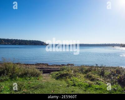 Seward Park ist ein Stadtpark in Seattle, Washington, USA. Das Hotel liegt in der Stadt Nachbarschaft des gleichen Namens, es umfasst 300 Hektar (120 ha; Stockfoto