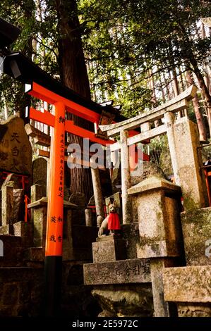 Fushimi Inari Shrine Zementierung Stockfoto