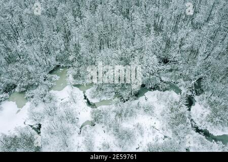 Schmaler gewundener Fluss im verschneiten Winterwald. Luftaufnahme von fliegender Drohne Stockfoto