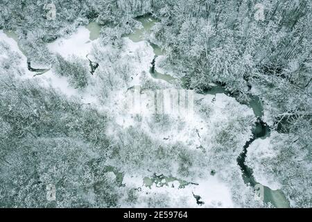 Gefrorener gewundener Fluss im schneebedeckten Winterwald. Landschaft. Luftaufnahme Stockfoto